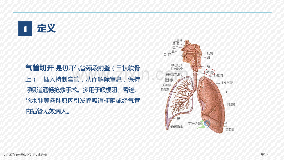 气管切开的护理业务学习专家讲座.pptx_第3页