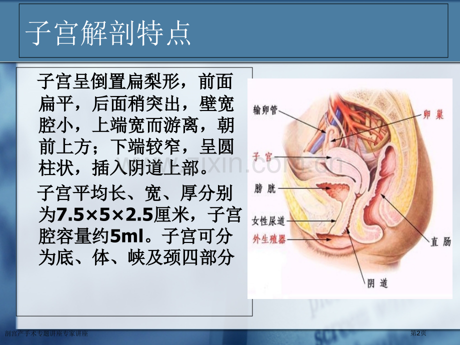 剖宫产手术专题讲座专家讲座.pptx_第2页