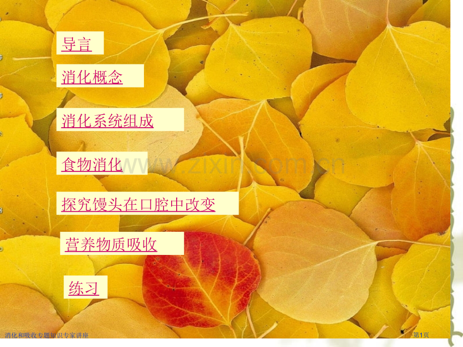 消化和吸收专题知识专家讲座.pptx_第1页