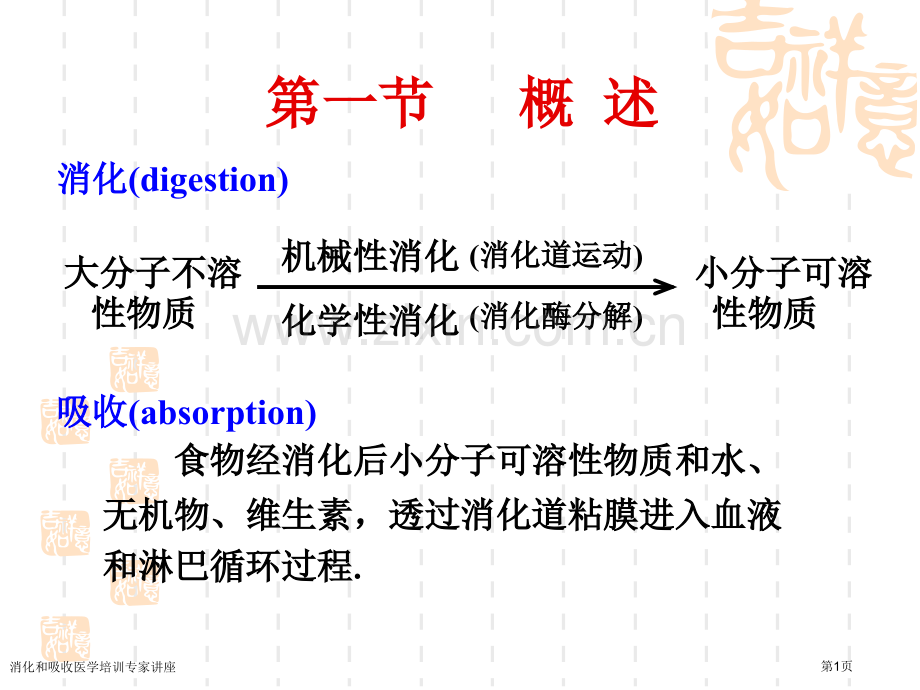 消化和吸收医学培训专家讲座.pptx_第1页