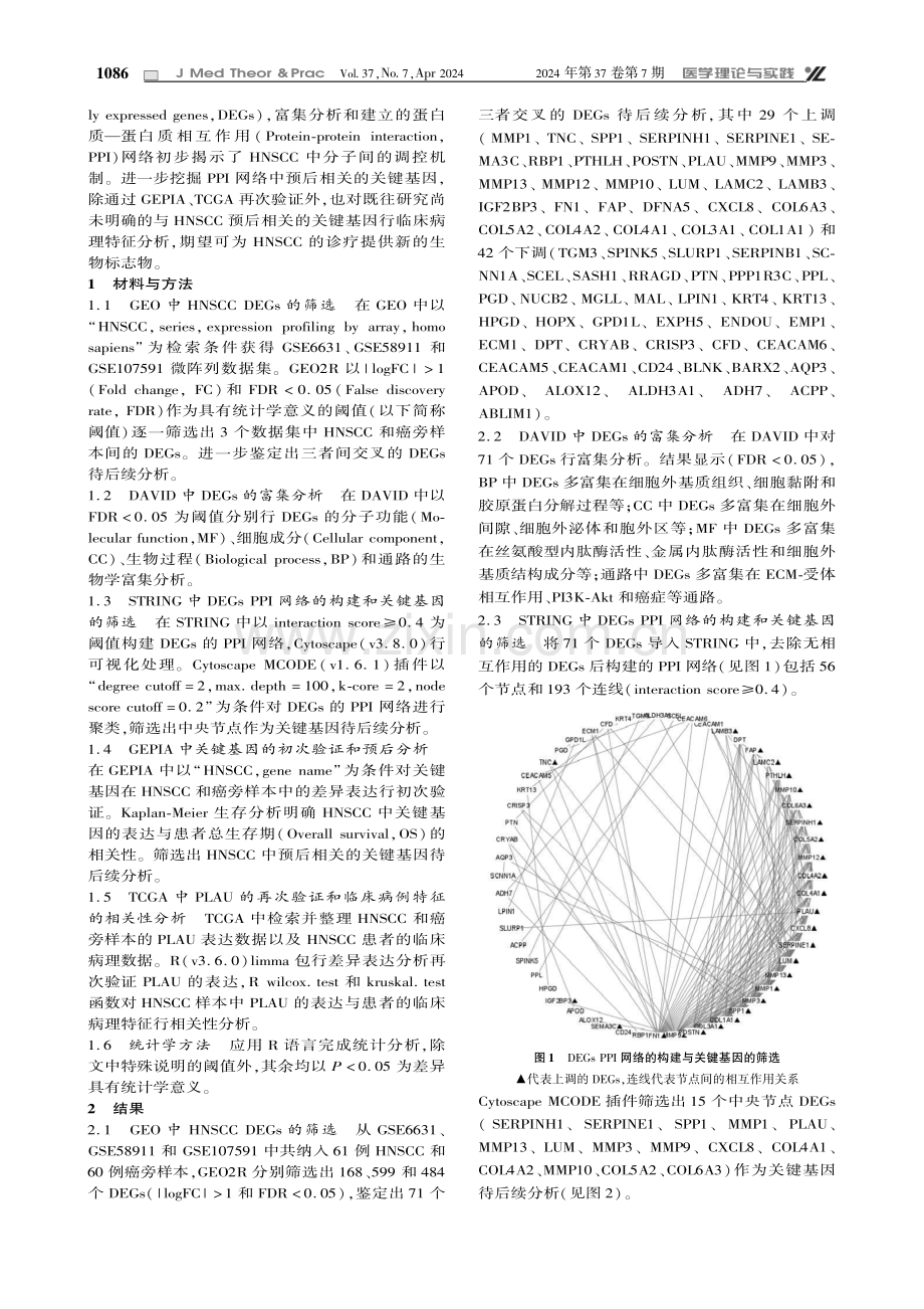 基于生物信息学鉴定头颈鳞癌预后关键基因.pdf_第2页