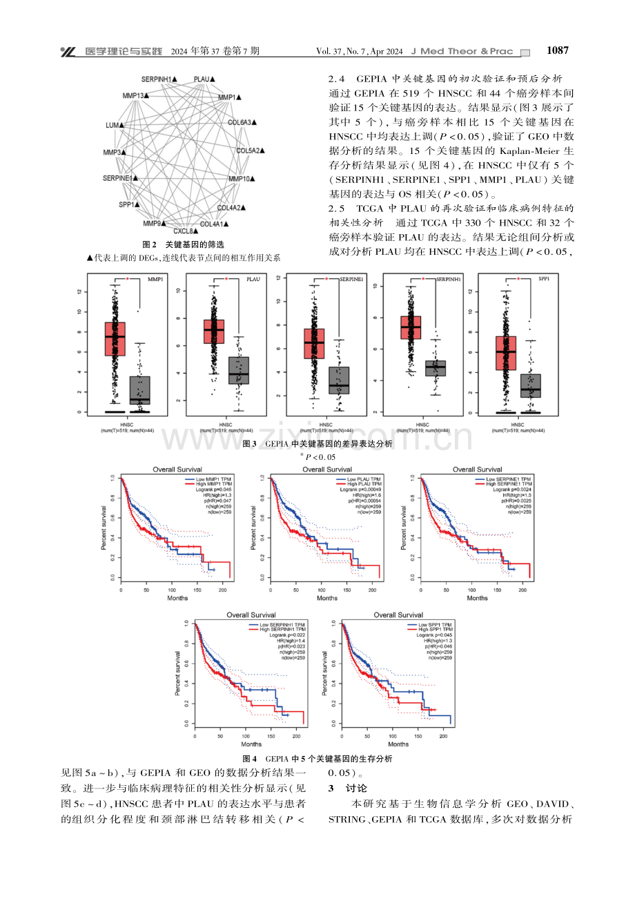 基于生物信息学鉴定头颈鳞癌预后关键基因.pdf_第3页