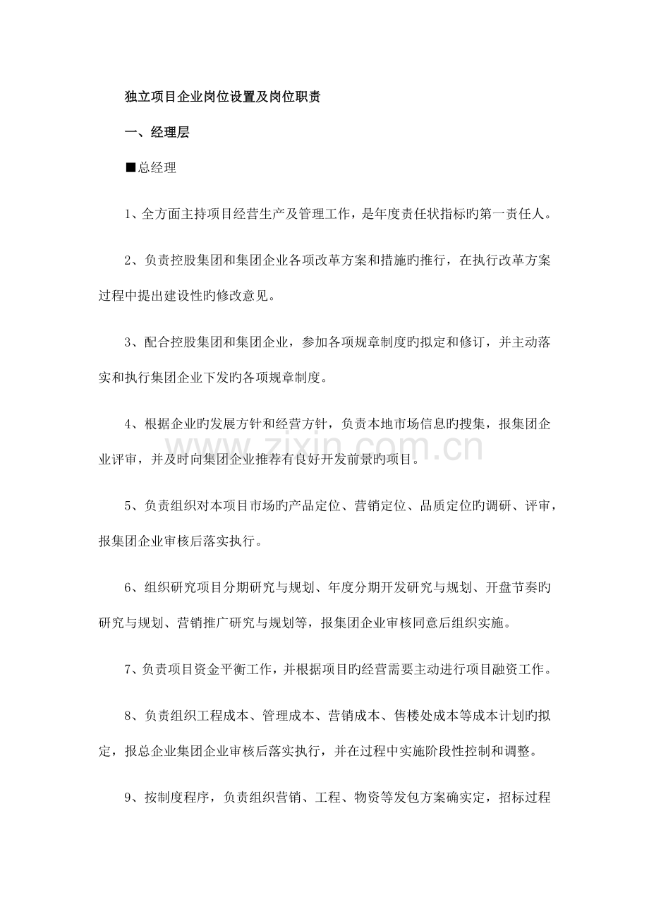 独立项目公司岗位设置及岗位职责.docx_第1页