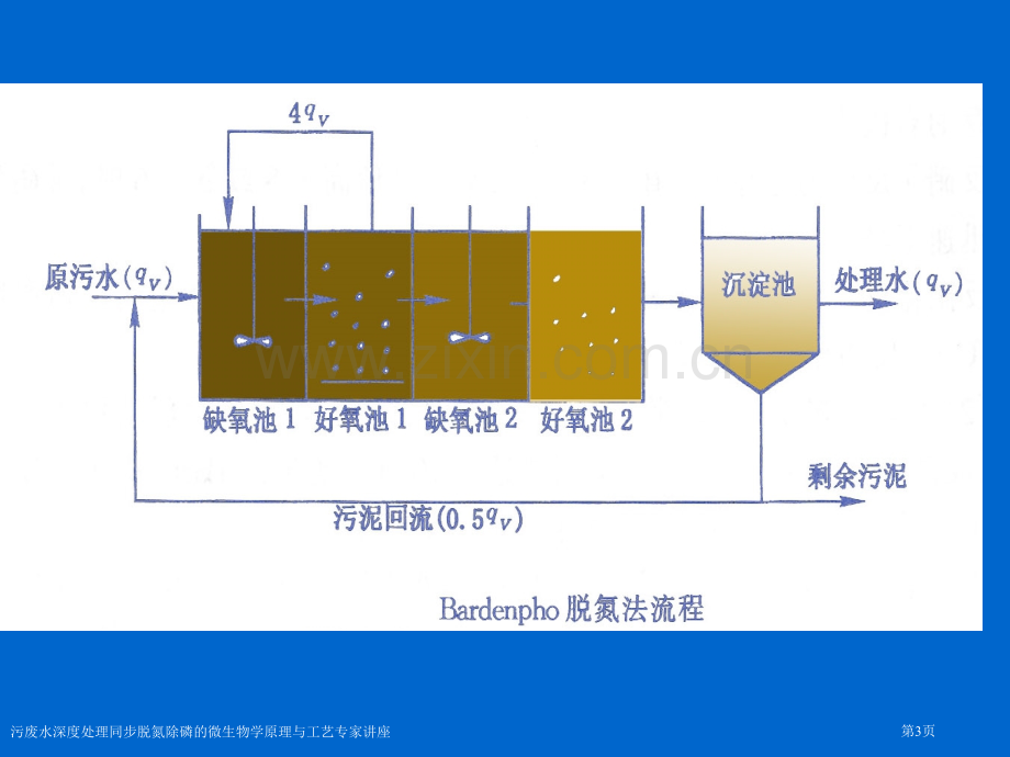 污废水深度处理同步脱氮除磷的微生物学原理与工艺专家讲座.pptx_第3页