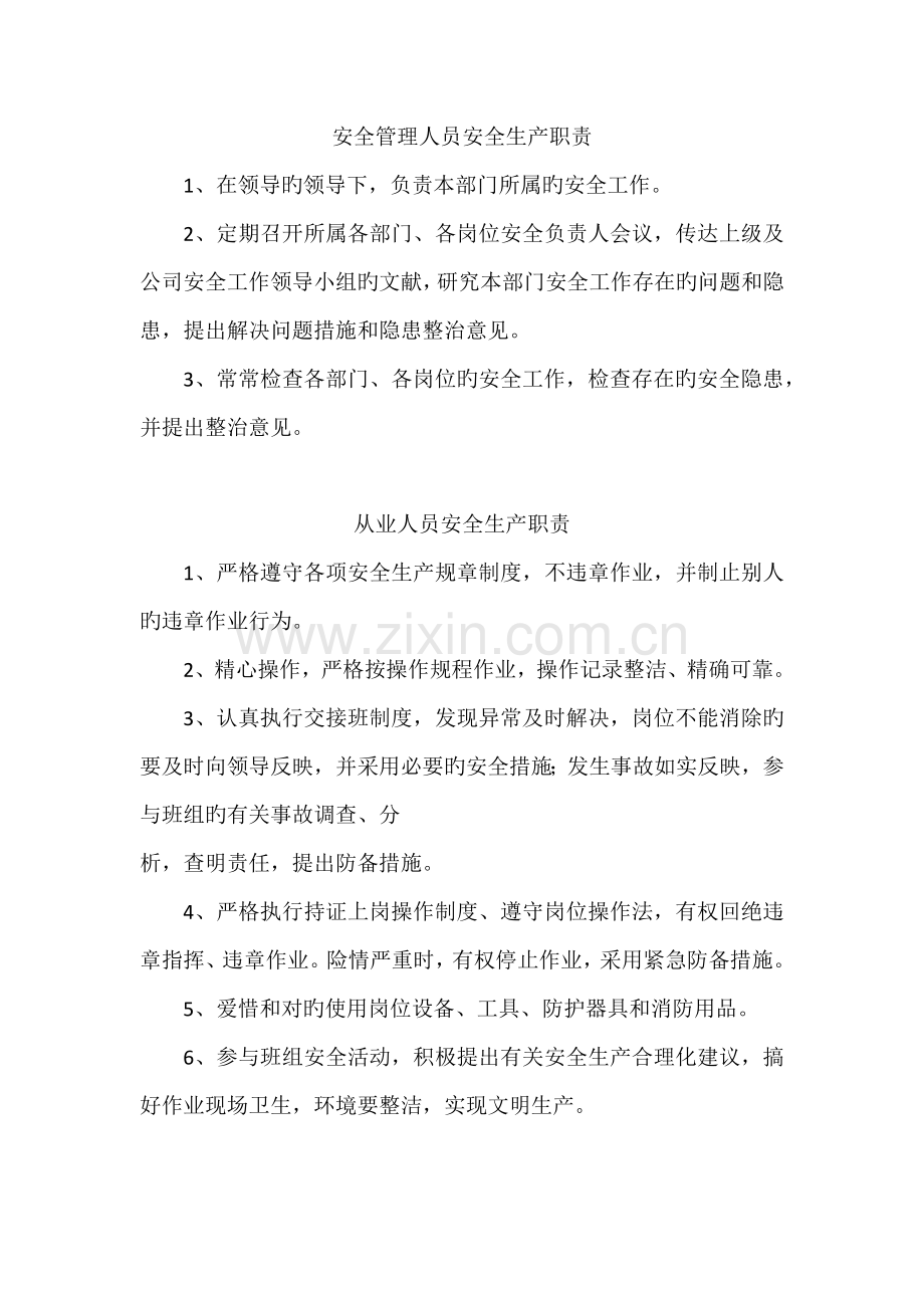 安全管理人员安全生产职责.docx_第3页