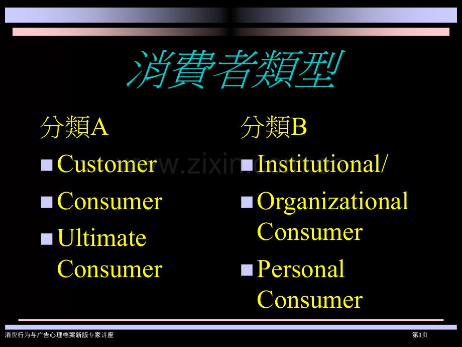 消费行为与广告心理档案新版专家讲座.pptx_第3页