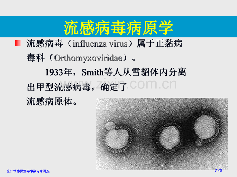 流行性感冒病毒感染专家讲座.pptx_第2页