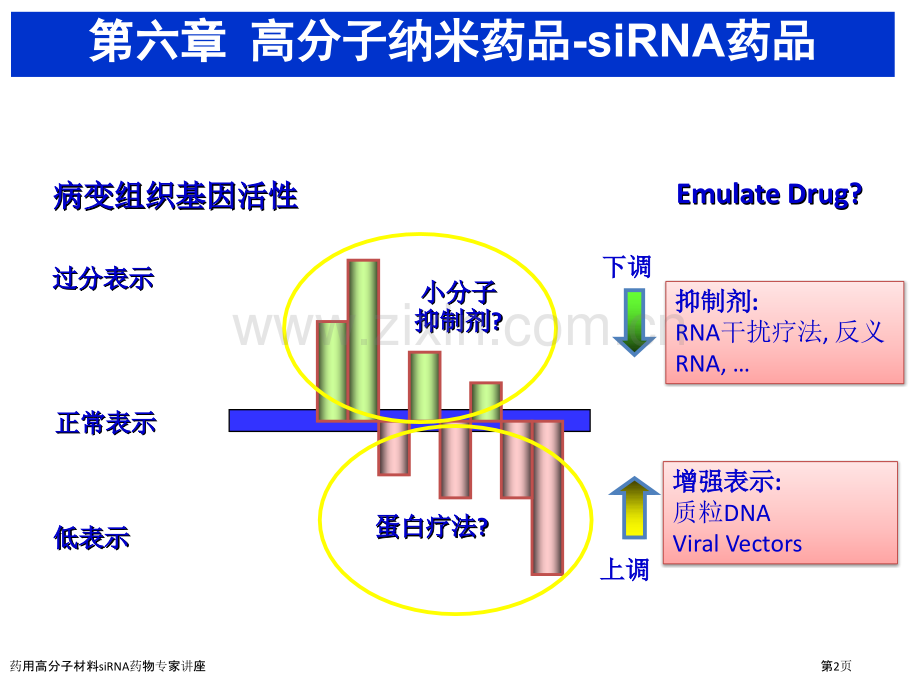 药用高分子材料siRNA药物专家讲座.pptx_第2页