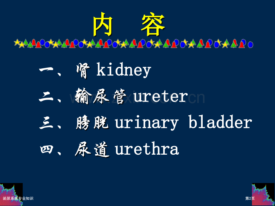 泌尿系统专业知识.pptx_第2页