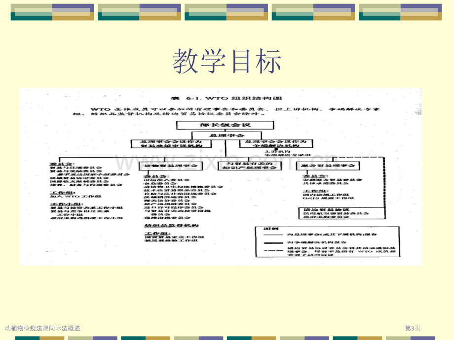 动植物检疫法规同际法概述.pptx_第3页
