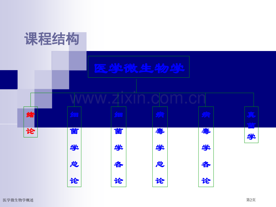 医学微生物学概述.pptx_第2页