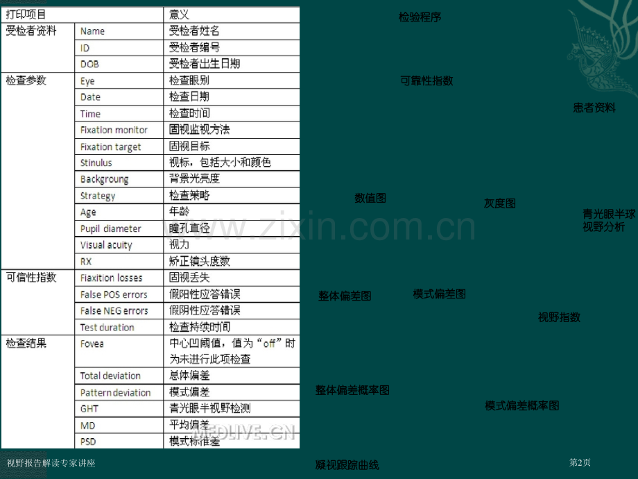 视野报告解读专家讲座.pptx_第2页