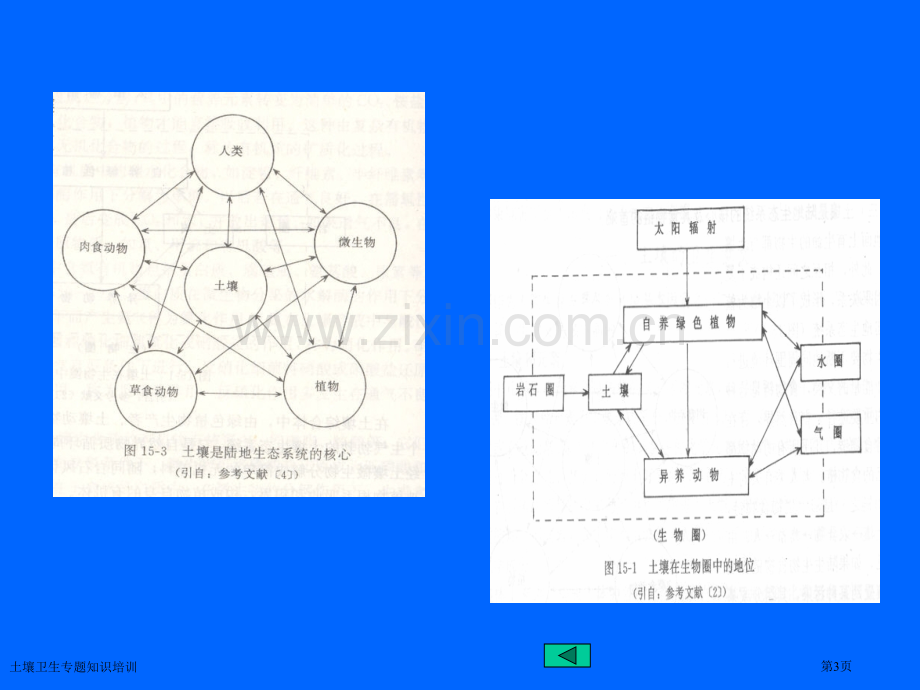 土壤卫生专题知识培训.pptx_第3页