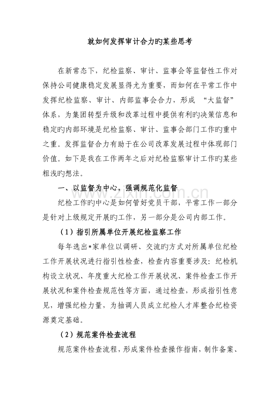 就如何发挥审计合力的一些思考2.doc_第1页