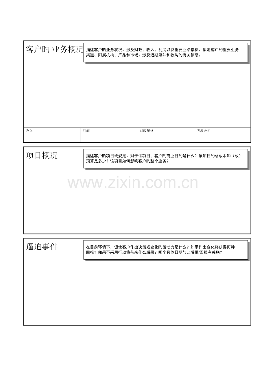 企业大项目销售项目计划书-新.docx_第2页