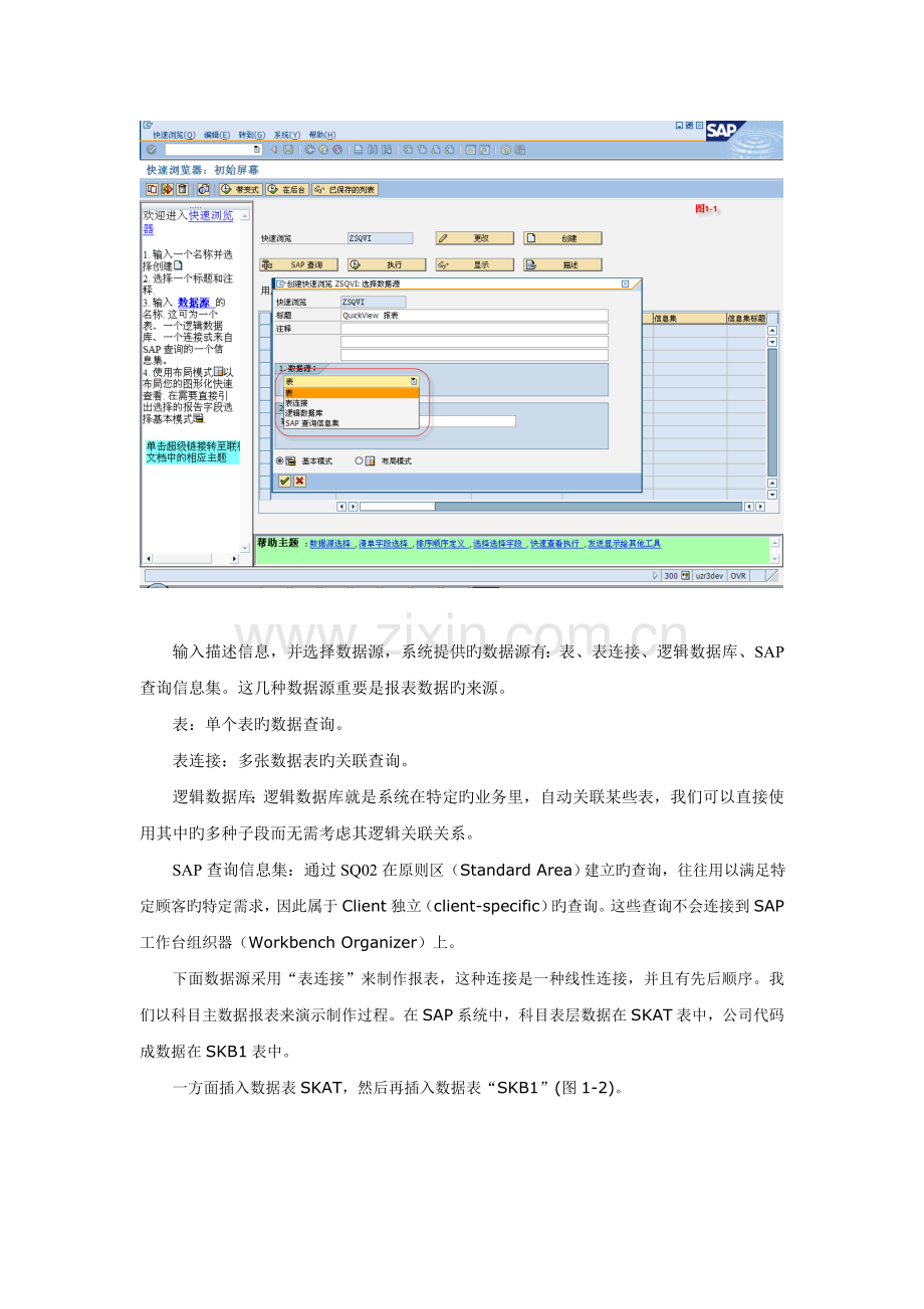 SAP系列之-QuickView报表制作及传输手册.doc_第3页