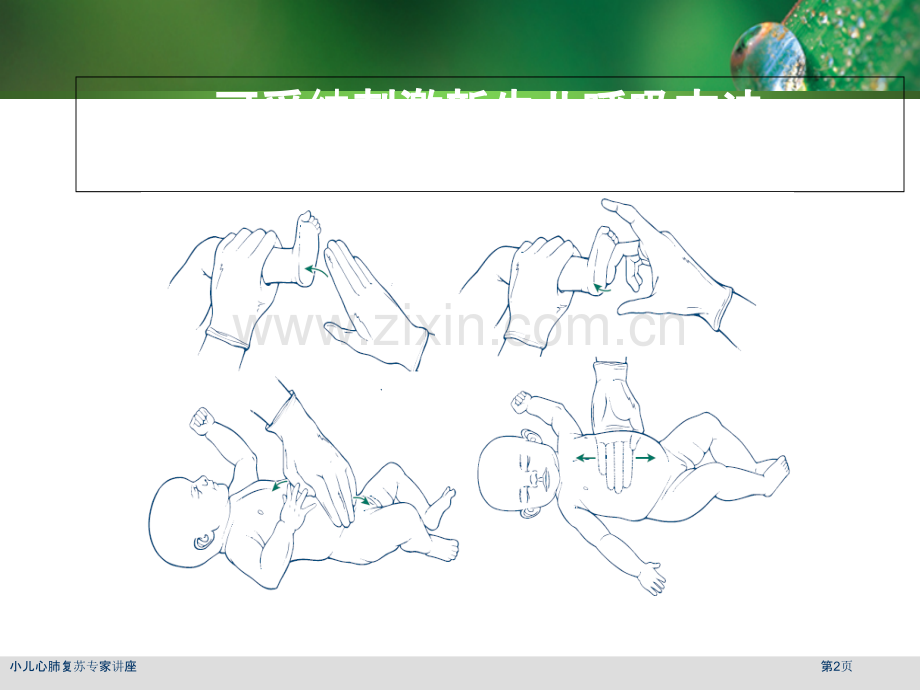 小儿心肺复苏专家讲座.pptx_第2页