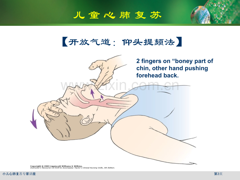 小儿心肺复苏专家讲座.pptx_第3页