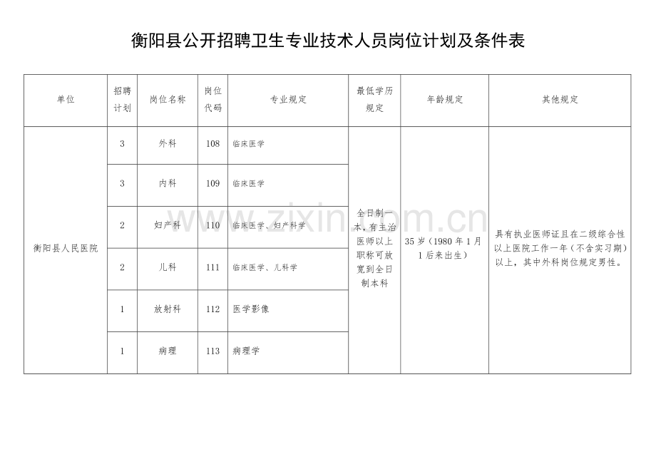 衡阳县公开招聘卫生专业技术人员岗位计划及条件表.doc_第2页