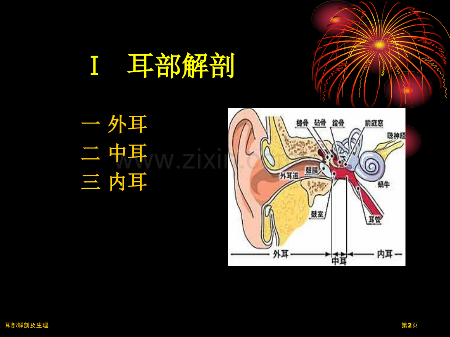 耳部解剖及生理.pptx_第2页