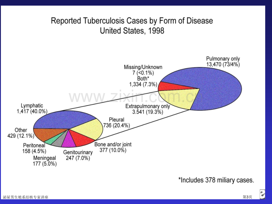 泌尿男生殖系结核专家讲座.pptx_第3页