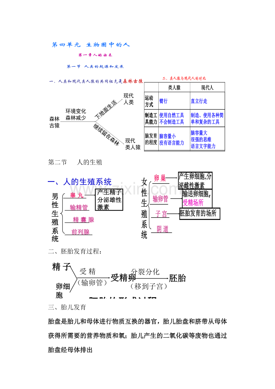 2023年七年级下册生物复习知识点.doc_第1页