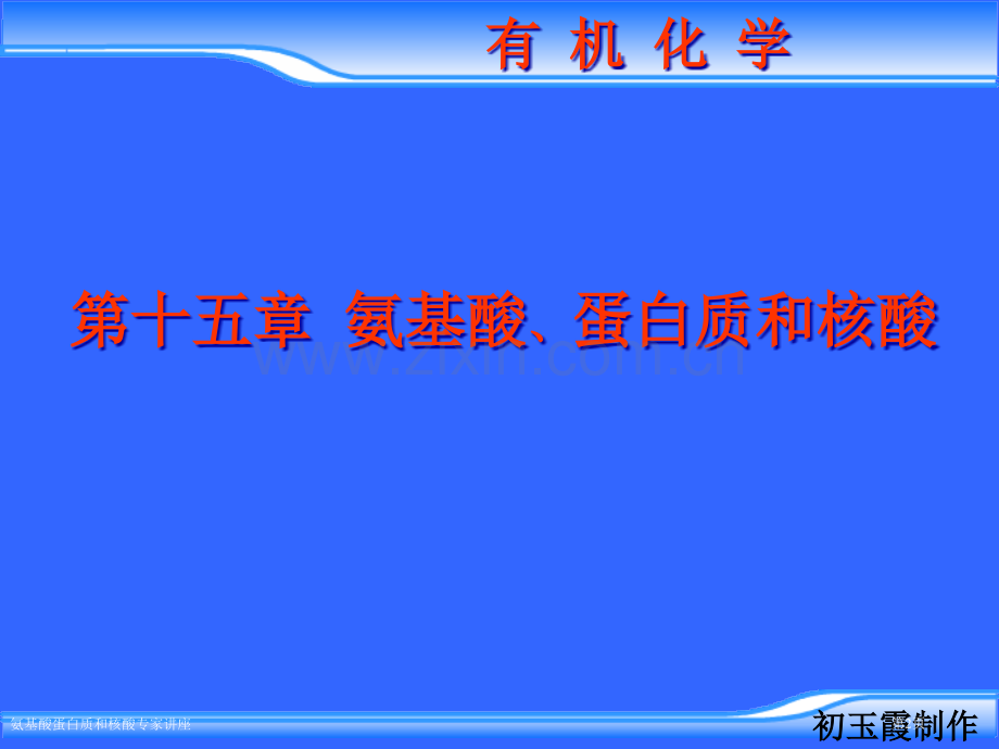 氨基酸蛋白质和核酸专家讲座.pptx_第2页