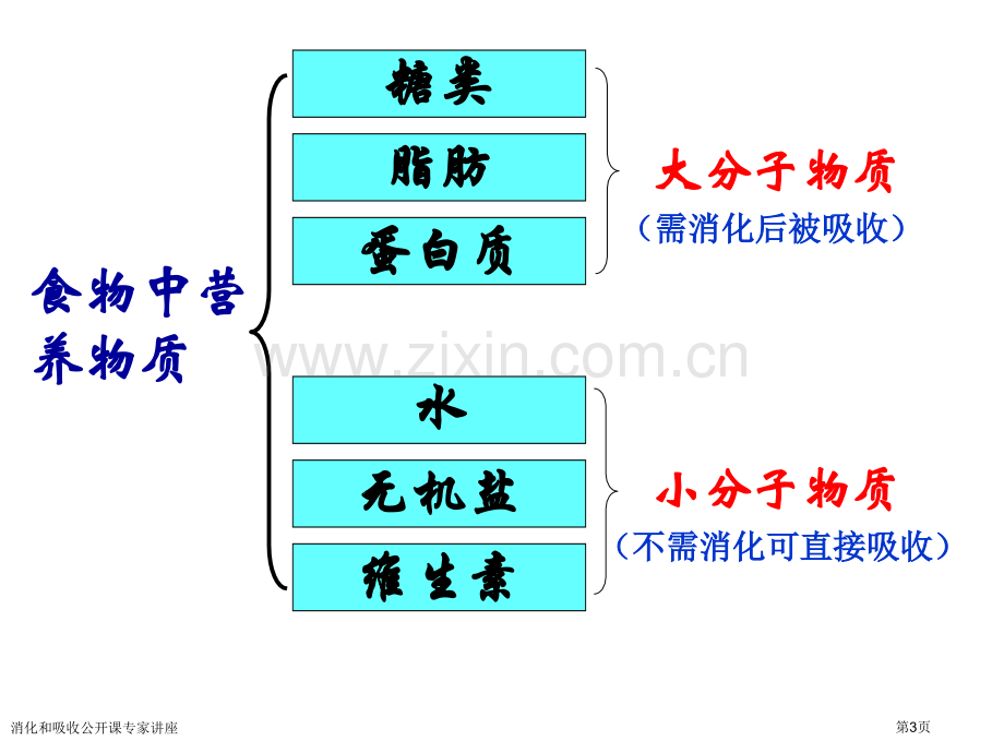 消化和吸收公开课专家讲座.pptx_第3页