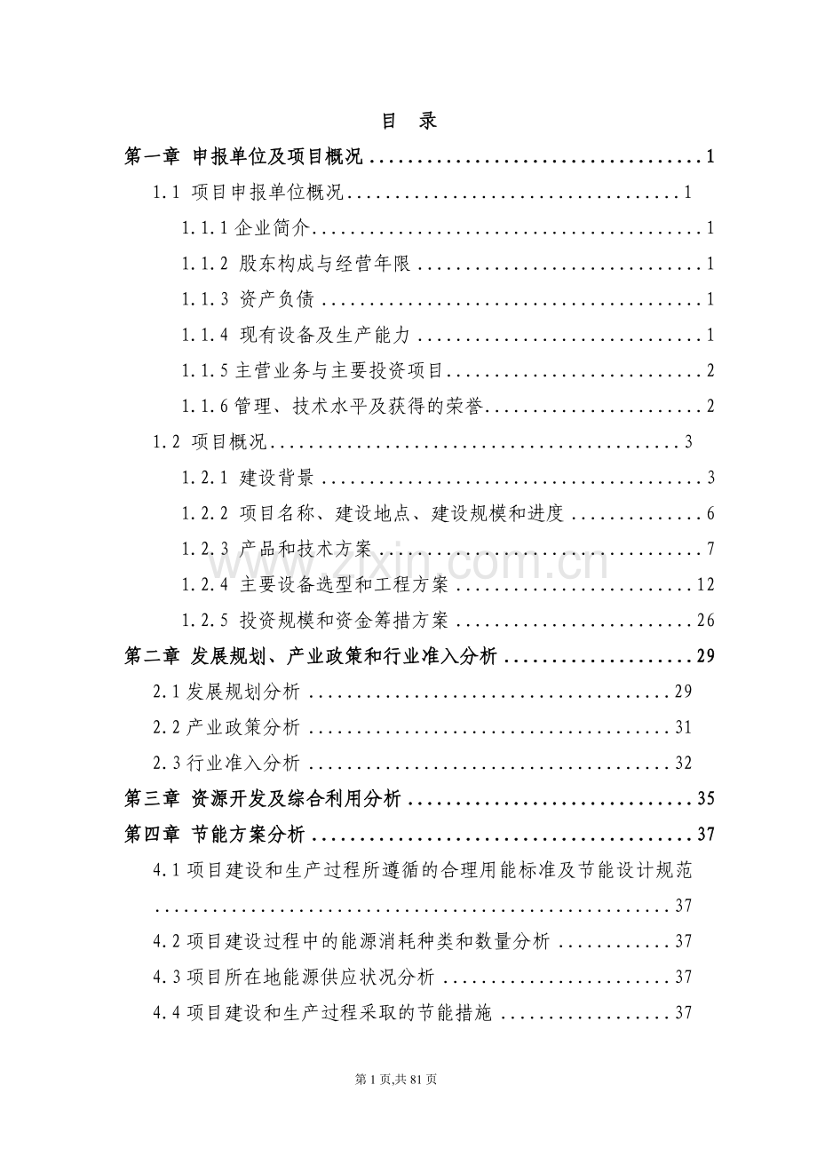 水泥有限公司年产100万吨复合水泥粉磨站技术改造项目申请报告.doc_第1页