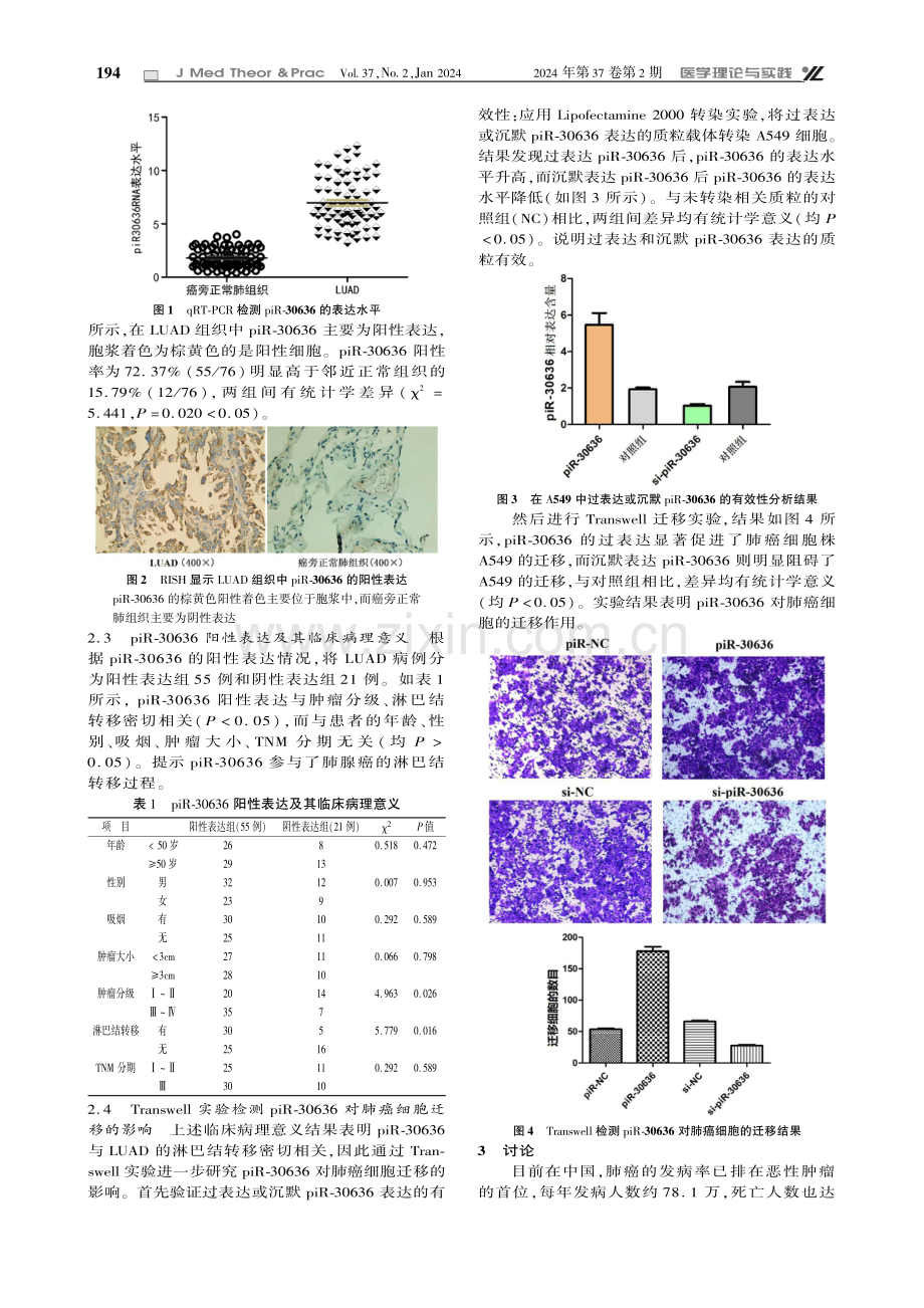 肺腺癌组织中piR-30636的表达、临床意义及对迁移的影响.pdf_第3页