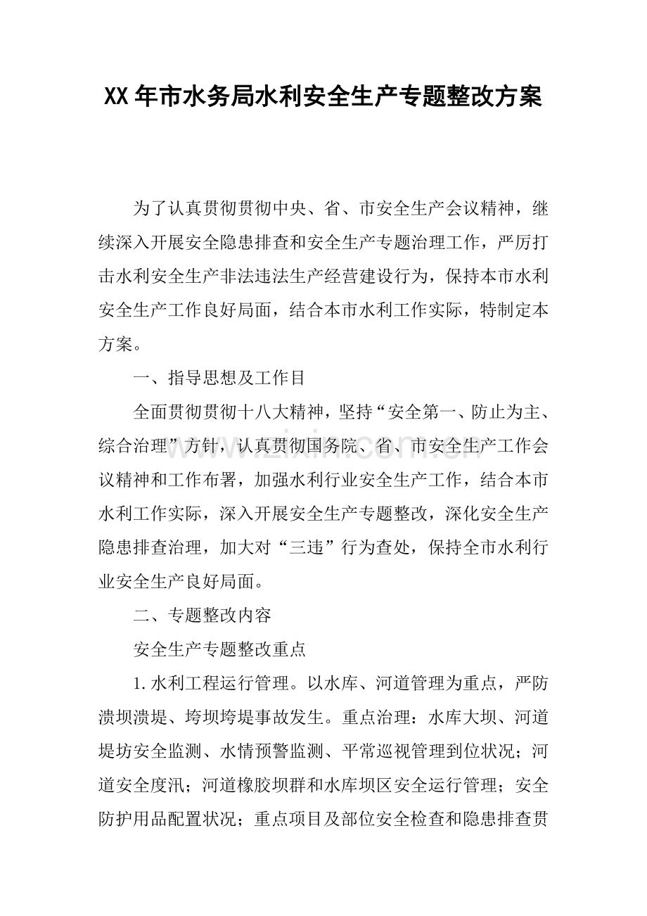 年市水务局水利安全生产专项整治方案.docx_第1页