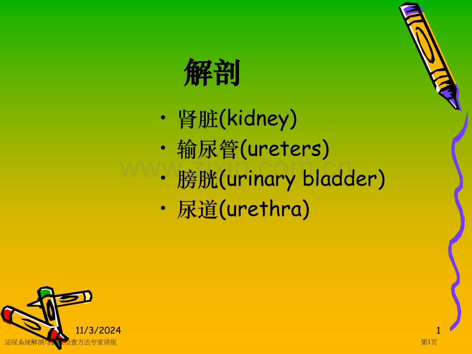 泌尿系统解剖与影像检查方法专家讲座.pptx_第1页