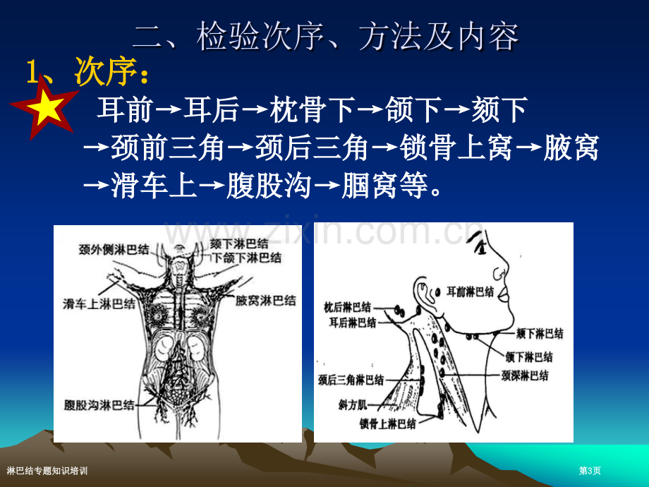 淋巴结专题知识培训.pptx_第3页