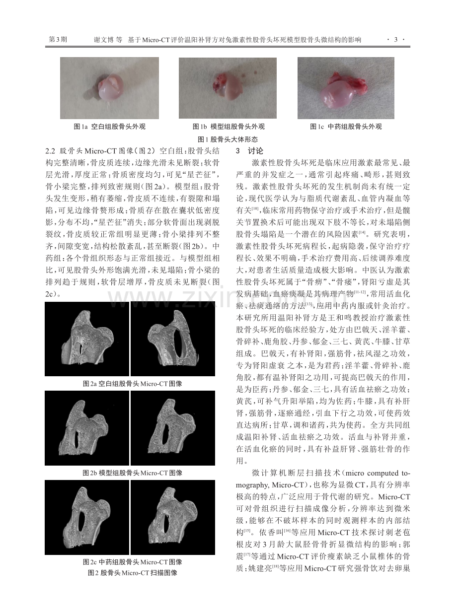 基于Micro-CT评价温阳补肾方对兔激素性股骨头坏死模型股骨头微结构的影响.pdf_第3页