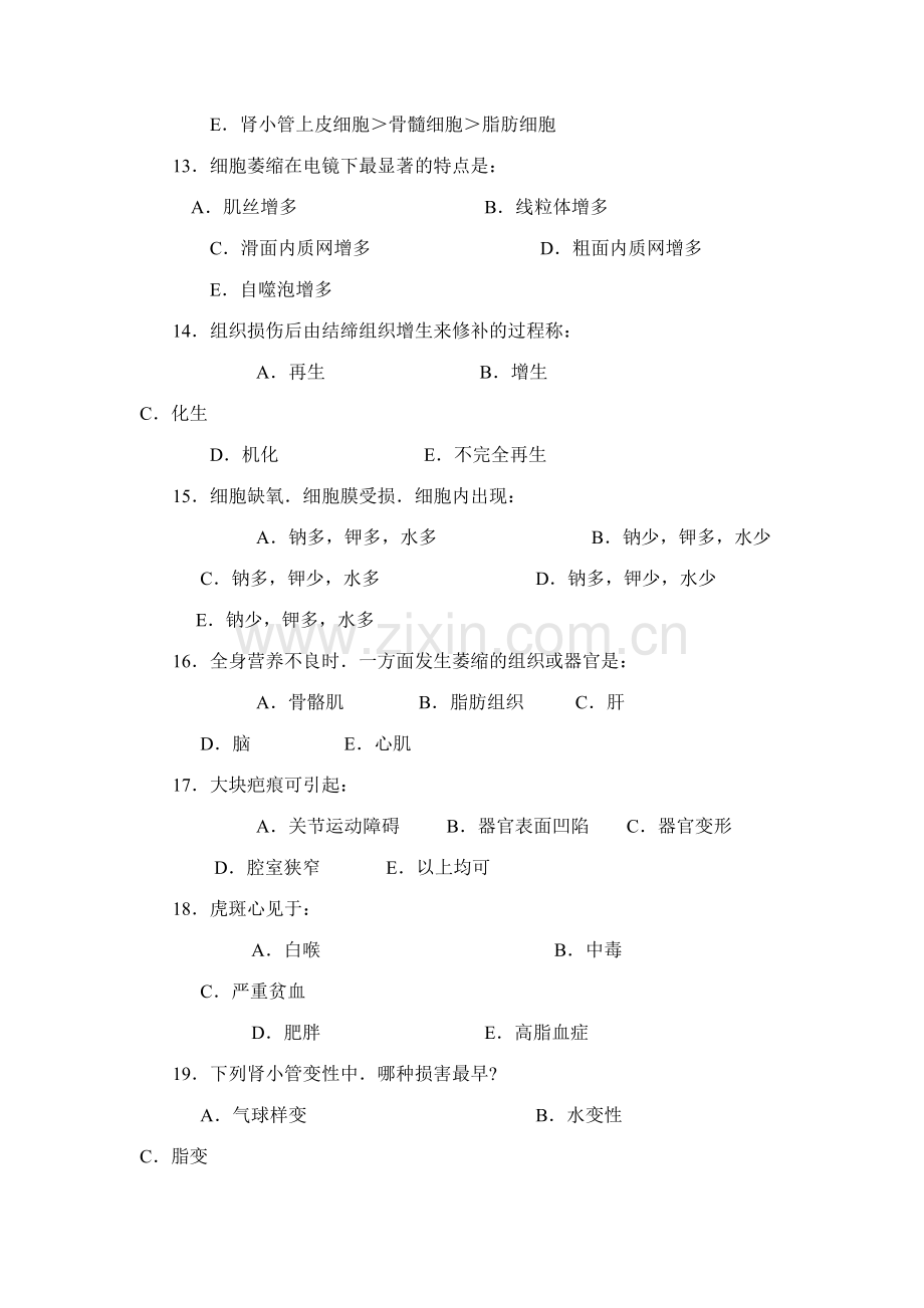 2023年病理学试题库答案.doc_第3页