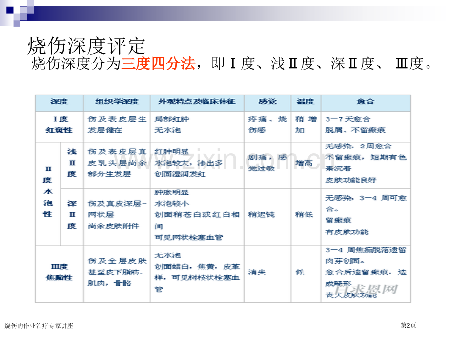 烧伤的作业治疗专家讲座.pptx_第2页