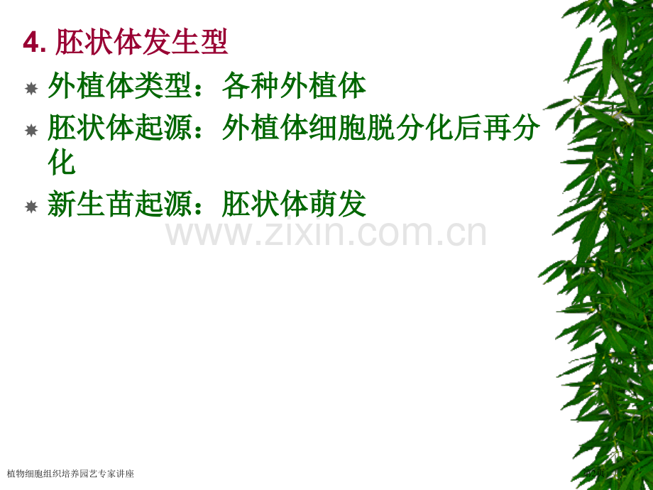 植物细胞组织培养园艺专家讲座.pptx_第2页