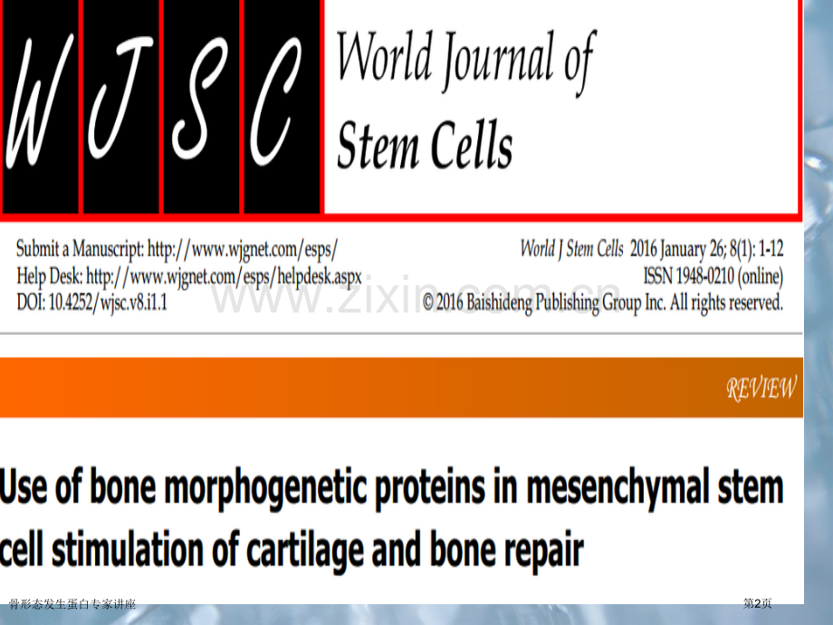 骨形态发生蛋白专家讲座.pptx_第2页