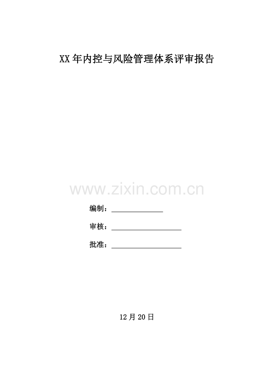 内控与风险管理体系评审报告(2).docx_第1页