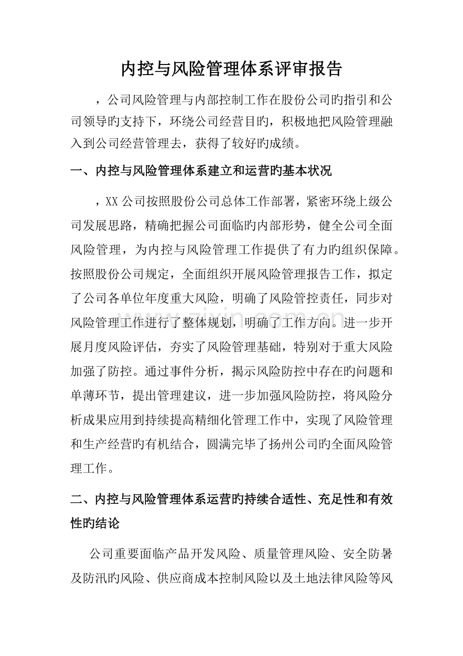 内控与风险管理体系评审报告(2).docx_第2页