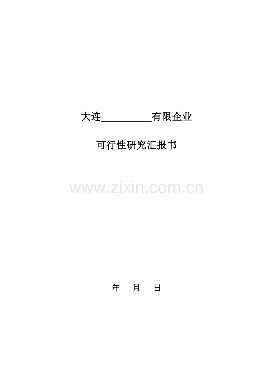 生产型企业可行性研究报告.doc_第1页