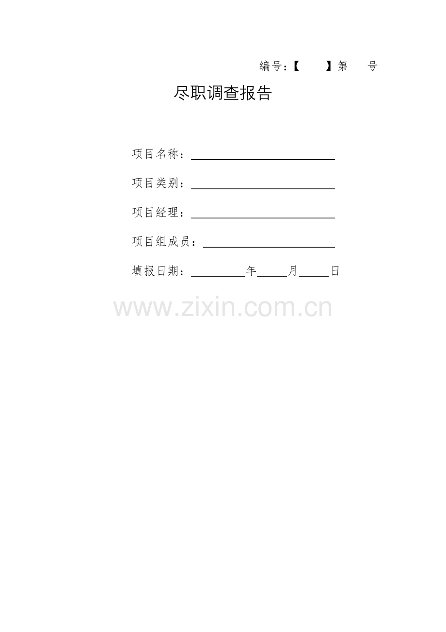 详尽尽职调查报告.docx_第1页