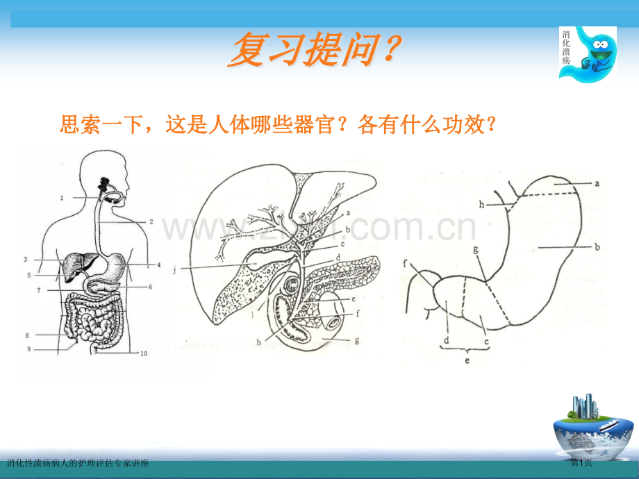 消化性溃疡病人的护理评估专家讲座.pptx_第1页