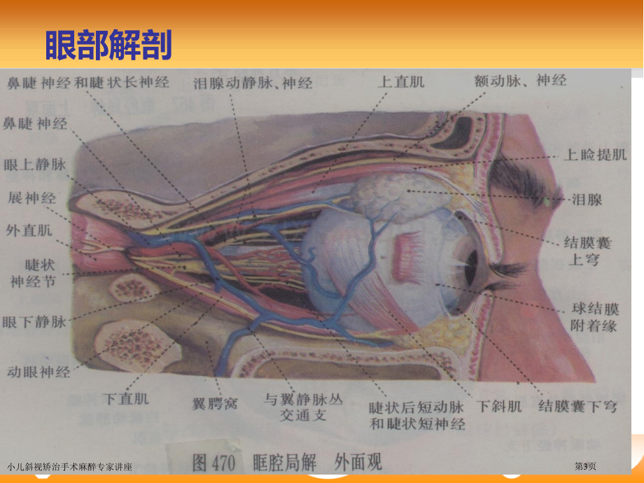 小儿斜视矫治手术麻醉专家讲座.pptx_第3页