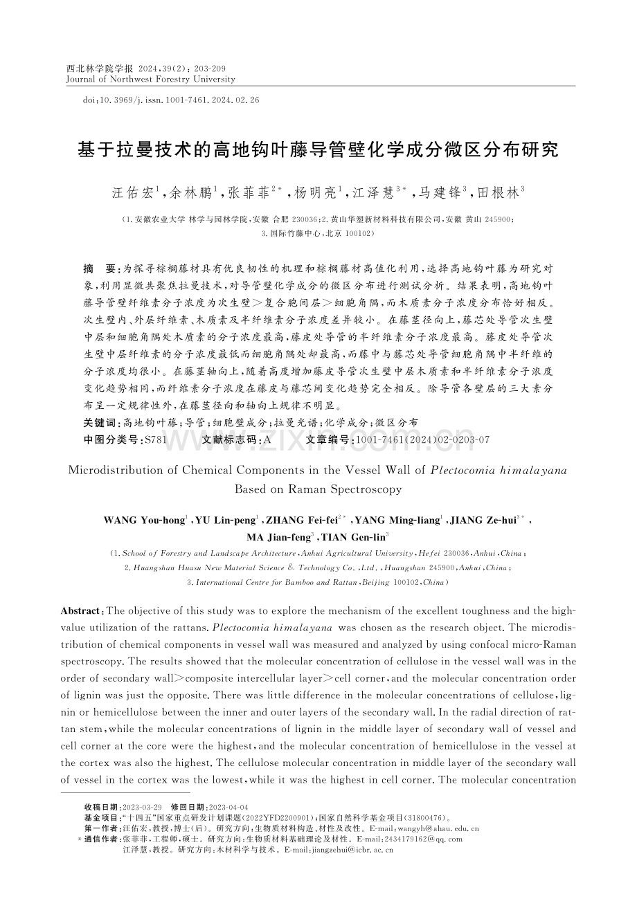 基于拉曼技术的高地钩叶藤导管壁化学成分微区分布研究.pdf_第1页