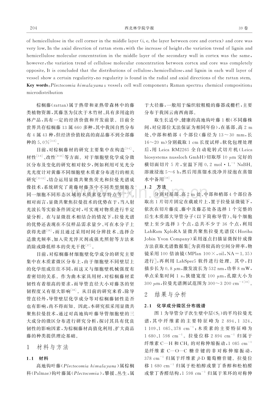 基于拉曼技术的高地钩叶藤导管壁化学成分微区分布研究.pdf_第2页