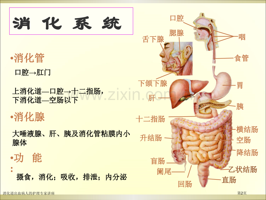 消化道出血病人的护理专家讲座.pptx_第2页