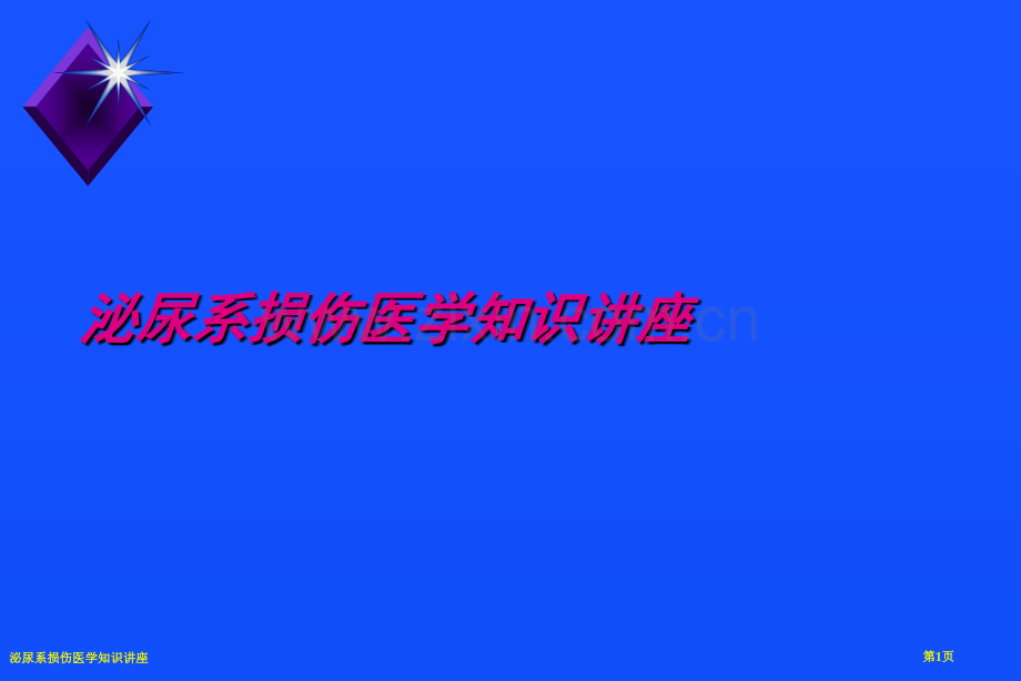 泌尿系损伤医学知识讲座.pptx_第1页