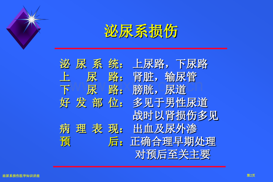 泌尿系损伤医学知识讲座.pptx_第2页