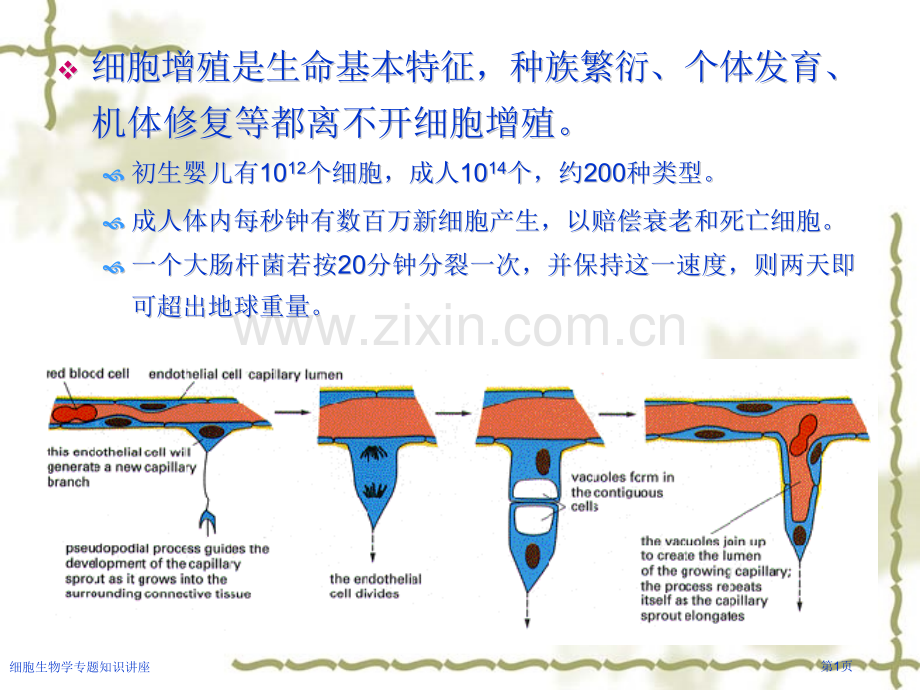 细胞生物学专题知识讲座.pptx_第1页